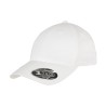 Cappellino biologico Flexfit 110