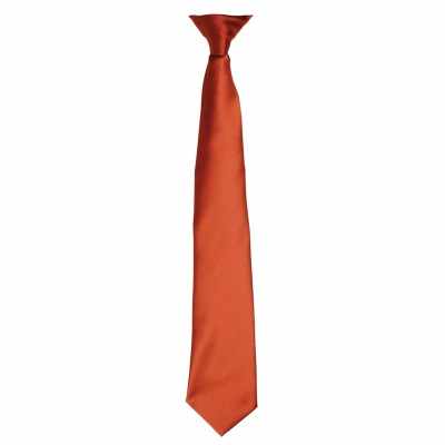 Cravatta con clip in raso 'Colours' Cravatta con clip in raso 'Colours'