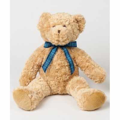 Orso felce