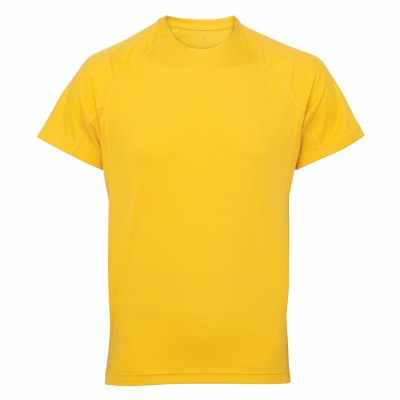 Maglietta tecnica con pannelli TriDri®