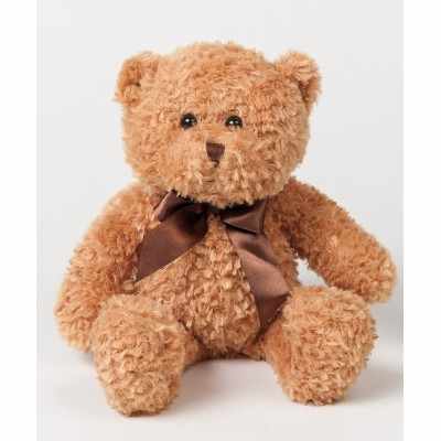 Orso bruno