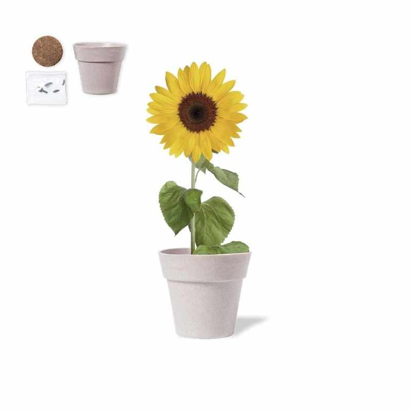 Vaso con semi di girasole da personalizzare - cod. MK1929