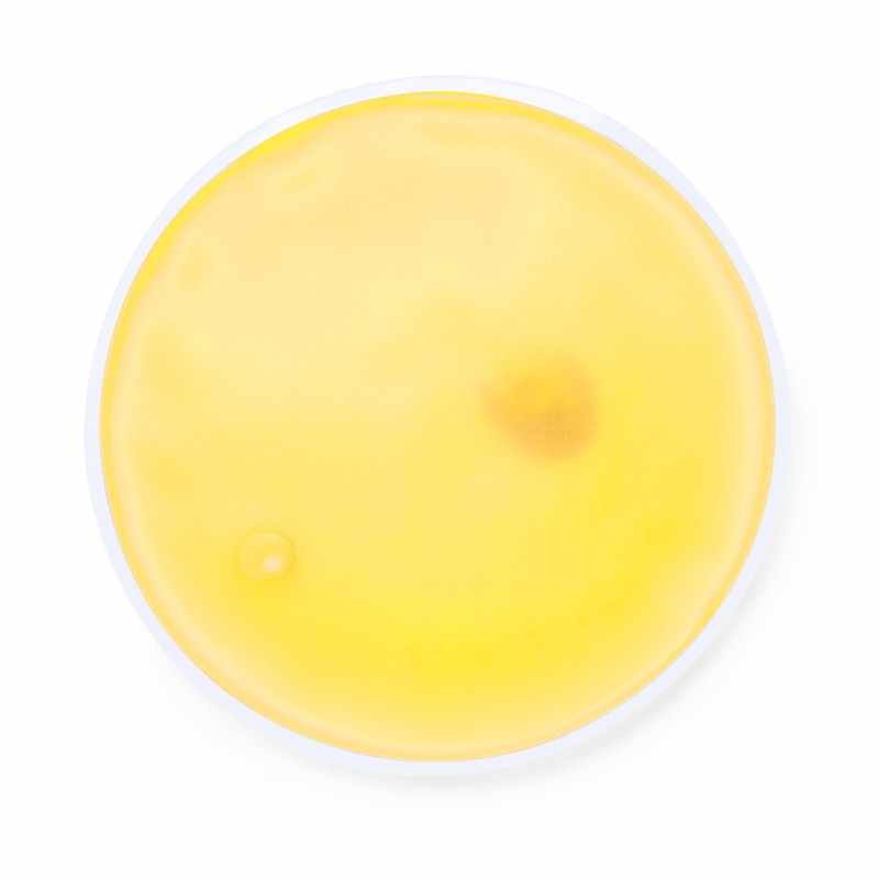 Cerotto Termico da stampare - cod. MK4970