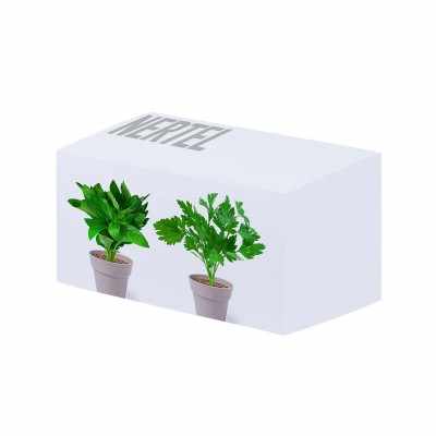 Set Vaso - cod. MK5113