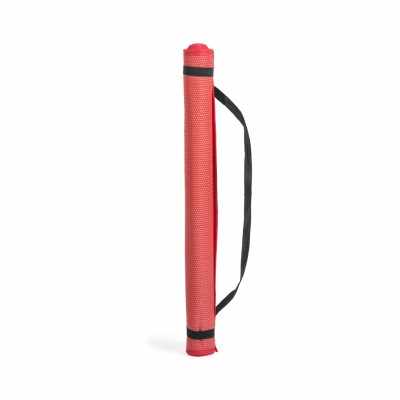 Gadget sportivi