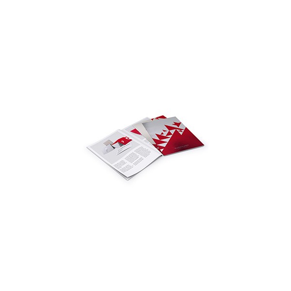 Riviste con rilegatura a punti metallici (materiale speciale) - FA-5744