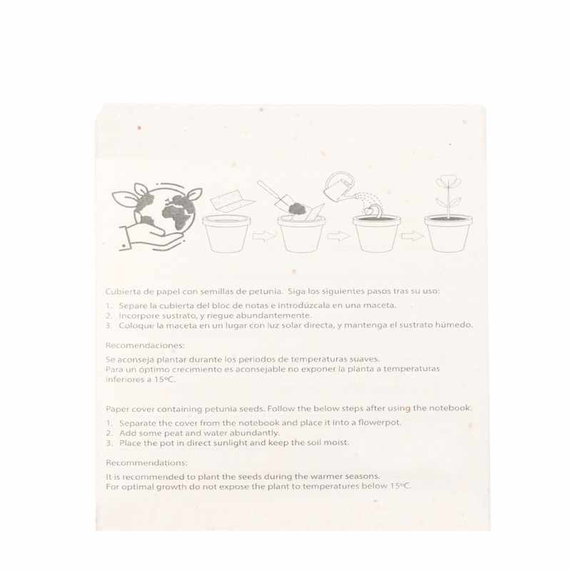 Set con Semi - cod. MK20372