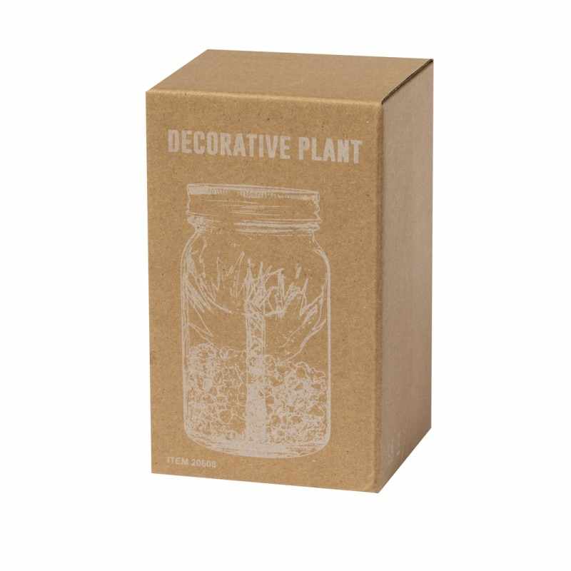 Pianta Decorativa - cod. MK20608