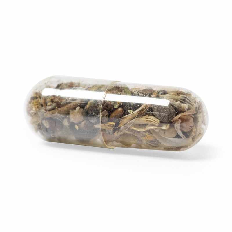 Capsule di Semi - cod. MK2642