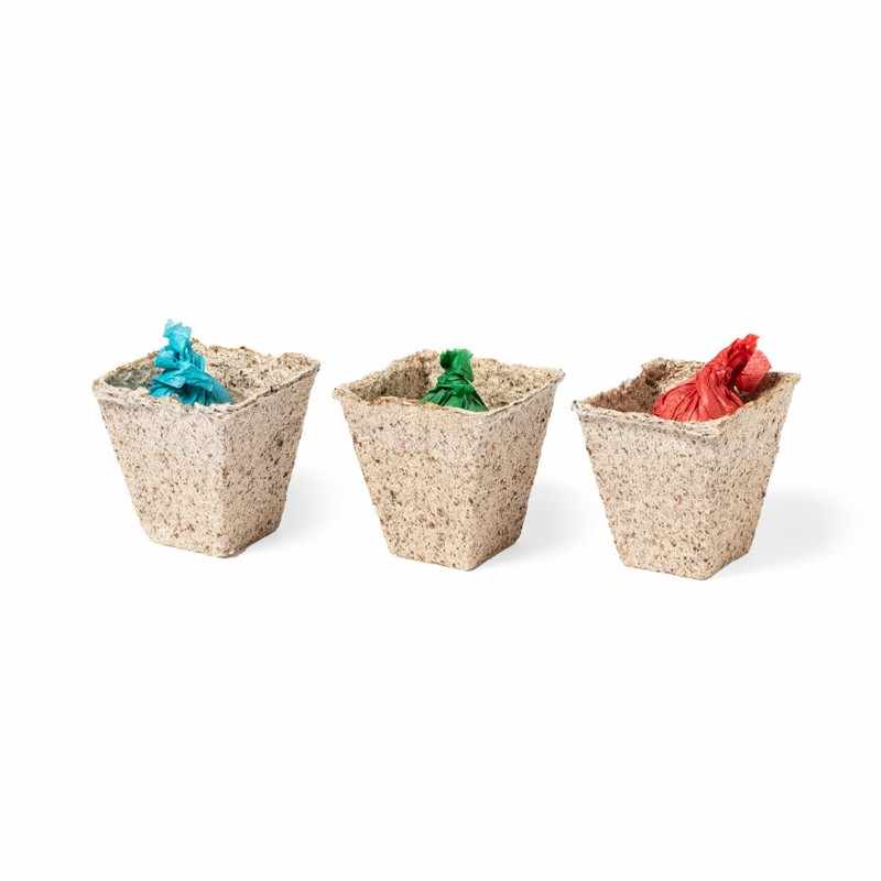 Kit da giardino con semi di coriandolo, prezzemolo e basilico - cod. MK2673