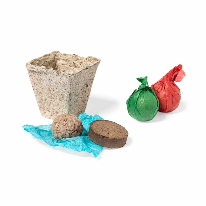Kit da giardino con semi di coriandolo, prezzemolo e basilico - cod. MK2673