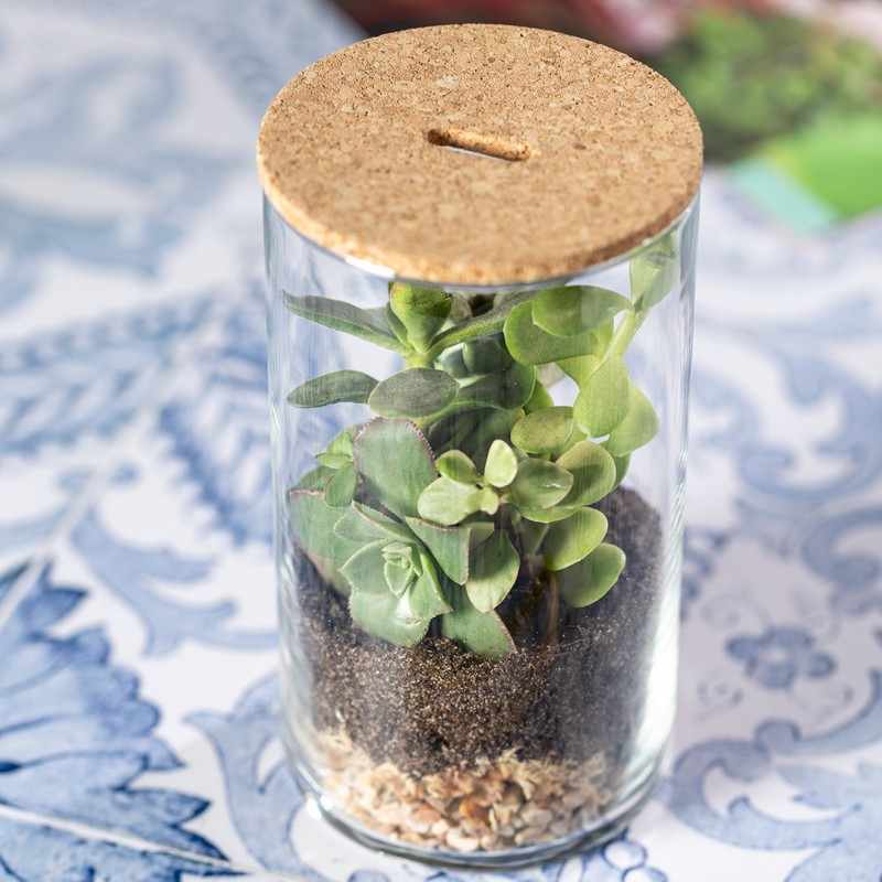 Terrarium con semi di cactus - cod. MK2692