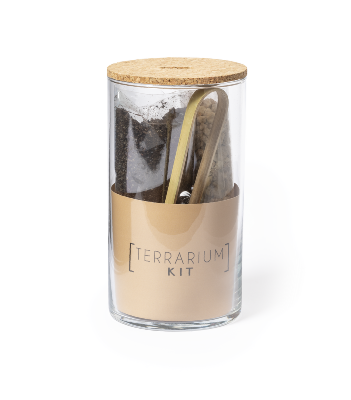 Terrarium con semi di cactus - cod. MK2692