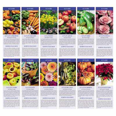 Calendari illustrati personalizzati