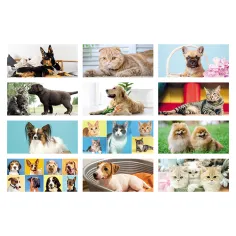 Calendarietto da tavolo personalizzato "Cani e gatti" - cod. PA403