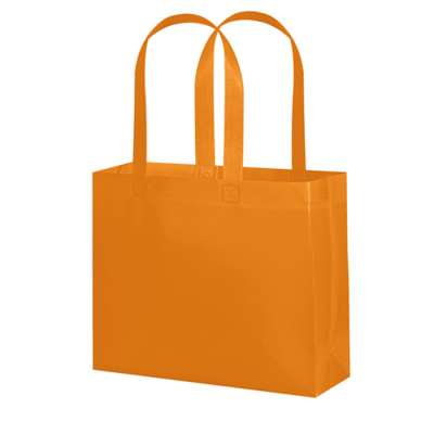 Borsa shopping in tnt - Clear cod. PG134