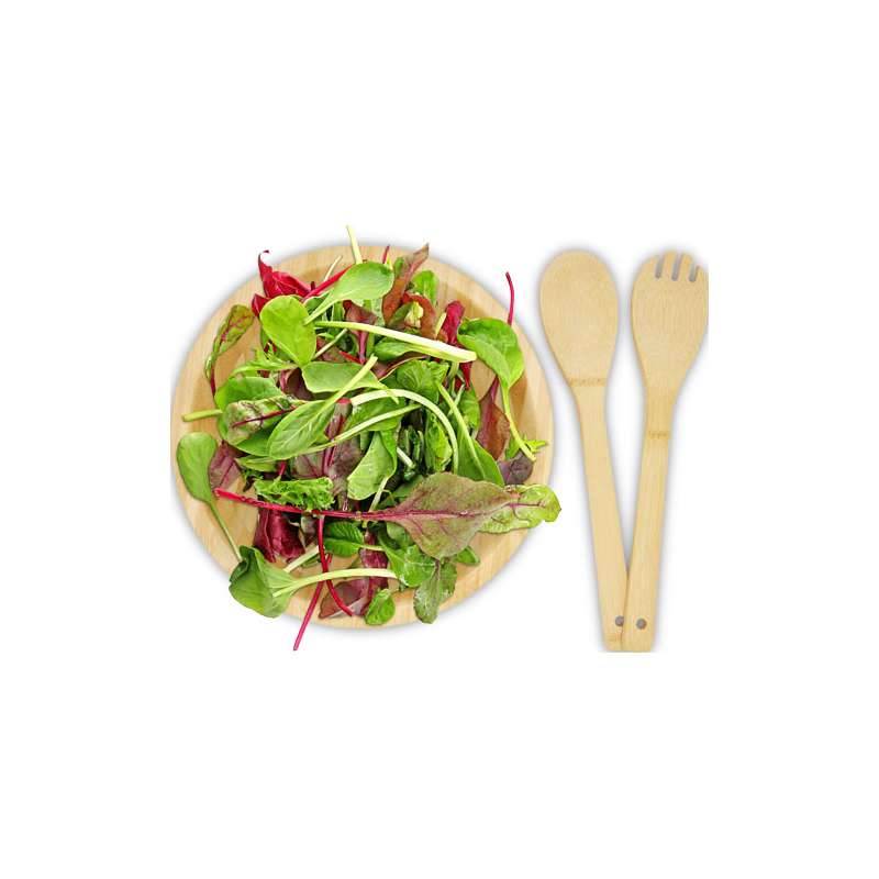 Ciotola con cucchiaio e forchetta per insalata - cod. P113268