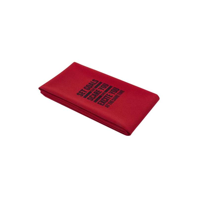 Asciugamani sportivi 50 x 100 cm stampati con logo - cod. P113505