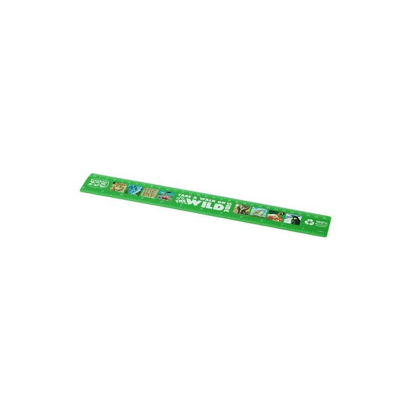 Righelli da 30 cm in plastica stampati con scritte - cod. P210468