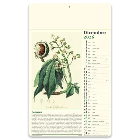 Calendari personalizzati