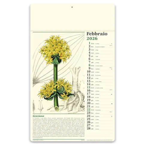 Calendari personalizzati