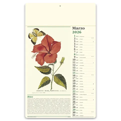 Calendari personalizzati