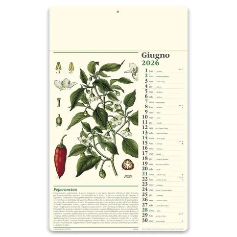 Calendari personalizzati