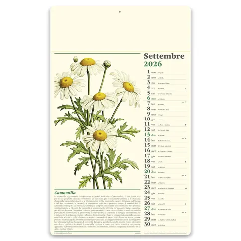 Calendari personalizzati