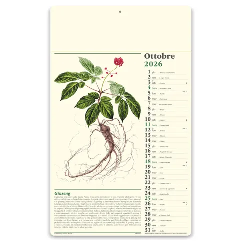 Calendari personalizzati