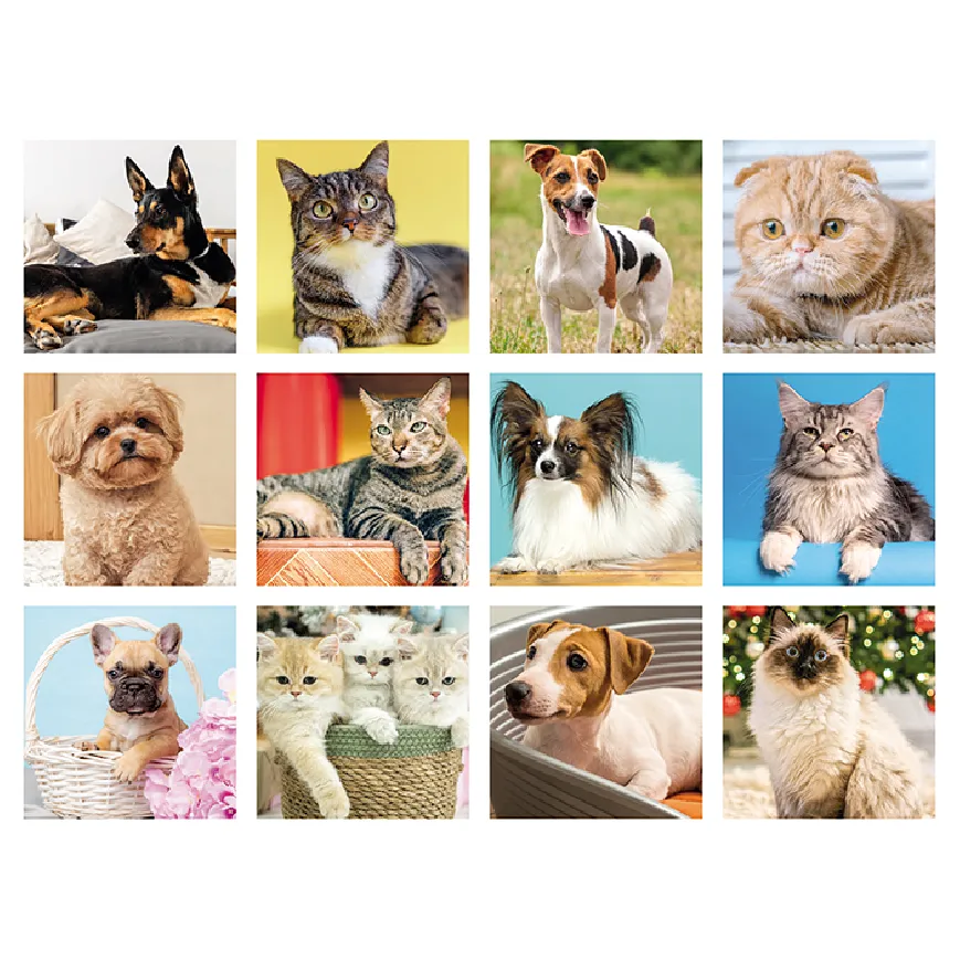 Calendari Silhouette personalizzati "Cani e gatti" - cod. PA191