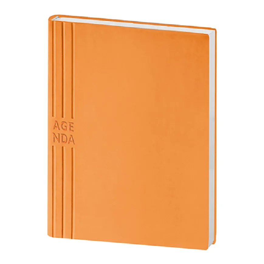 Agenda giornaliera con interno intercambiabile - cod. PB207