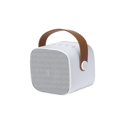 Altoparlanti personalizzati