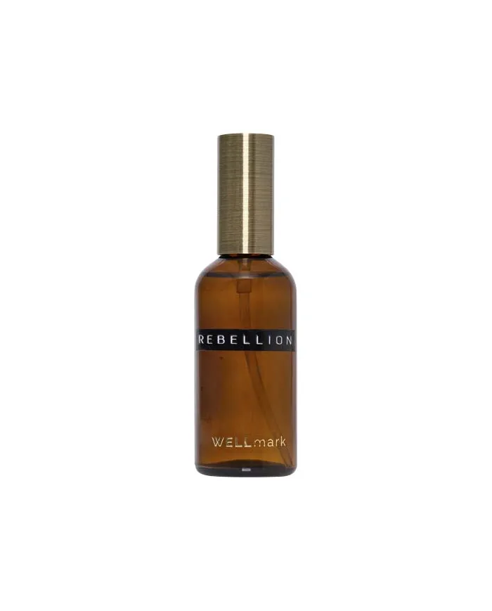 Nebulizzatore per ambienti da 100 ml Wellmark - cod. P126407