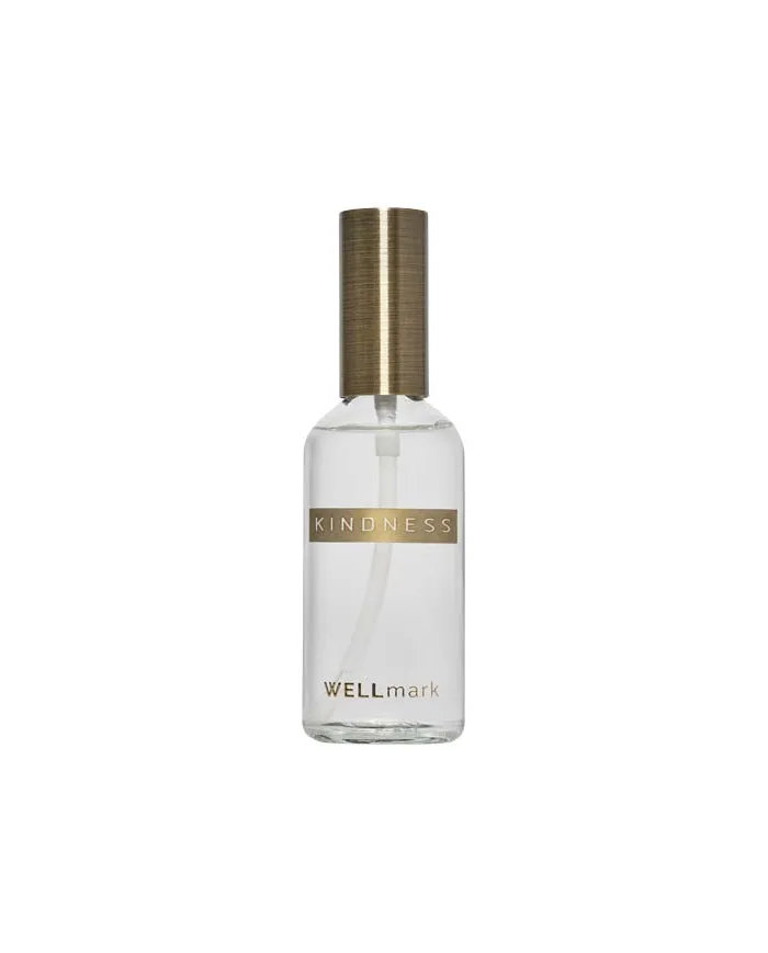 Nebulizzatore per ambienti da 100 ml Wellmark - cod. P126407