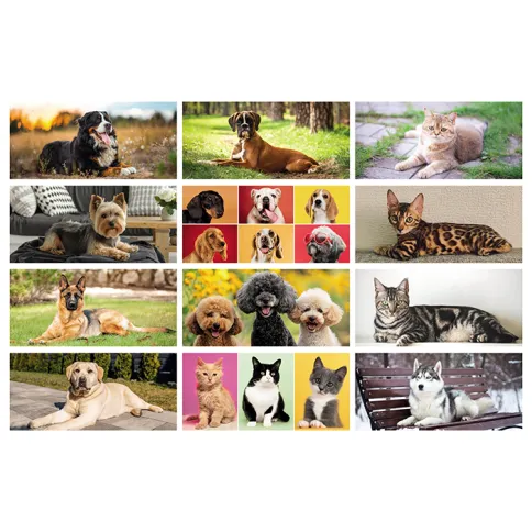 Calendari personalizzati