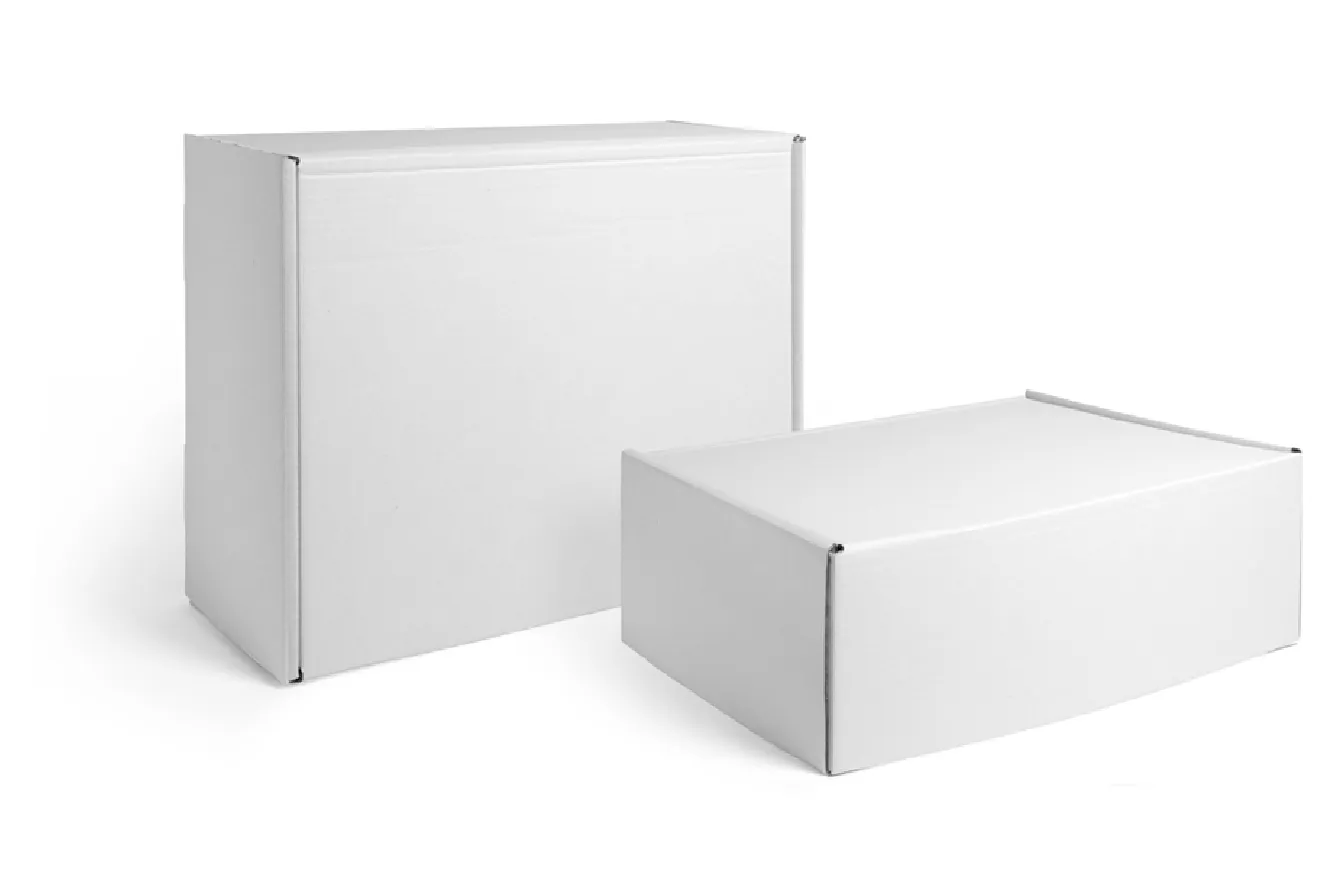 Scatole da spedizione personalizzate con coperchio pieghevole - FA-15301