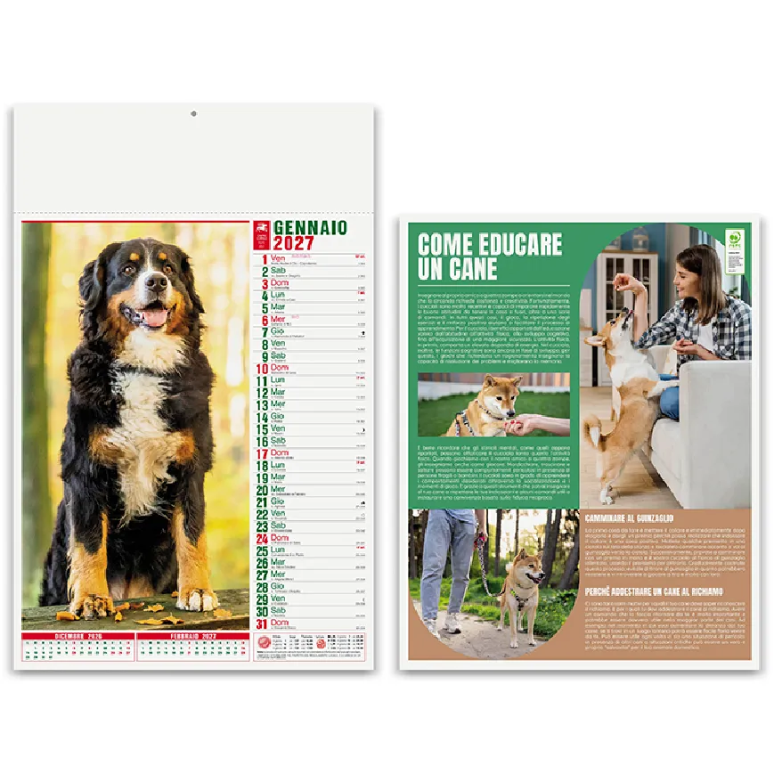 Calendario Cani e Gatti 2027 da parete - PA108