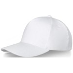 Cappellini Doyle a 5 pannelli - P38677